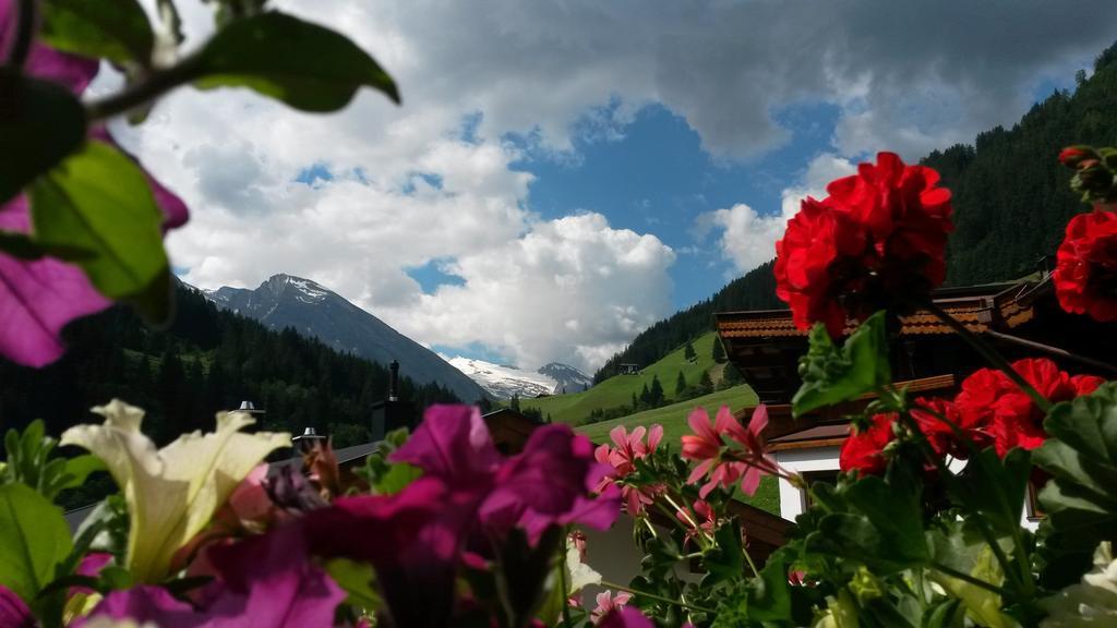 Schoenblick *